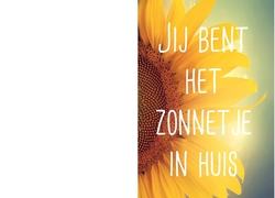 Zonnebloemzaadjes - zonnetje in huis bloem