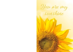 Zonnebloemzaadjes - you are my sunshine bloem