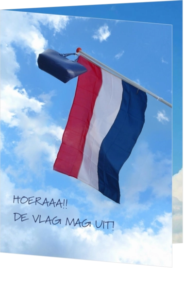 Geslaagd kaart vlag lucht