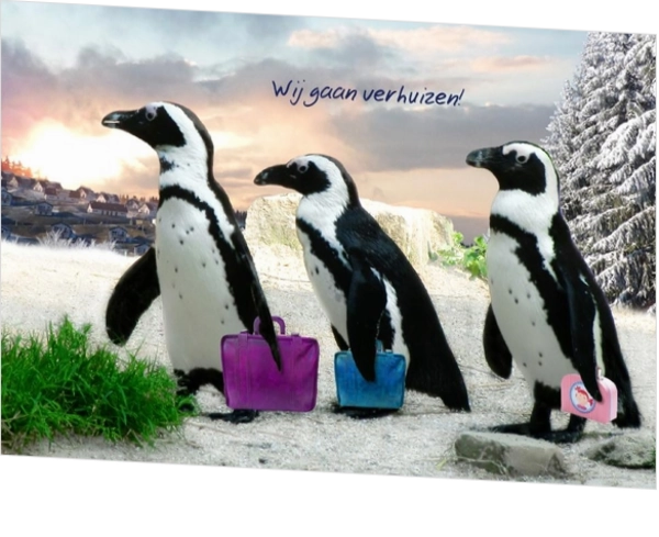 Verhuiskaart pinguïn familie