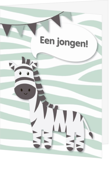 Geboorte felicitatiekaart zebra