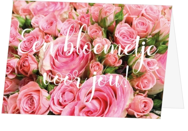 Roze rozen met de tekst voor jou!