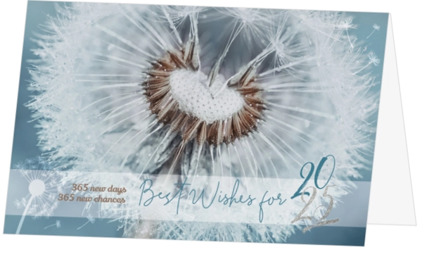 Kerstkaart - Make a wish 2022