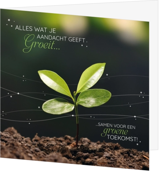 Mix & Match Kerstkaart - Groeiend plantje