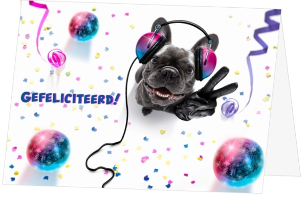 Funny dog DJ met discobal