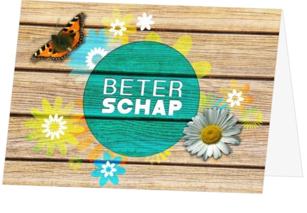 beterschapskaart steigerhout bloemen vlindertje