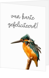 Verjaardagskaart ijsvogel