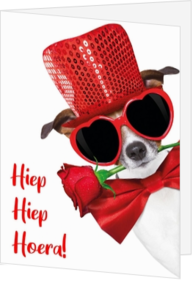 Hiep hiep hoera met hondje met rood mutsje en rode roos.