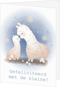 Twee lama's knuffel