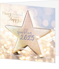 Mix & Match Kerstkaart - Sparkling 2023