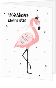 Geboorte felicitatiekaart flamingo