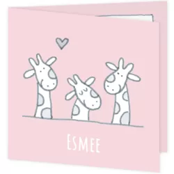 3 girafjes (roze)