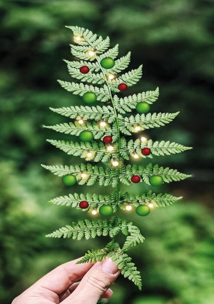 Kerstkaart Kerstkaart gericht op de groene en natuur beroepen