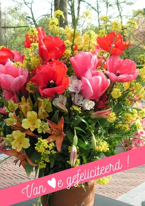 felicitatie tulpenboeket 