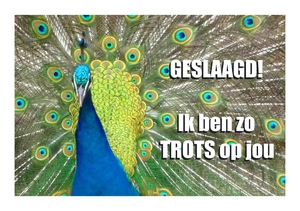 Geslaagd kaart trost als een pauw