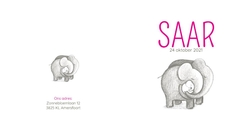 Saar - Familie olifant