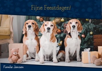 Kerstkaart donkerblauw met eigen foto