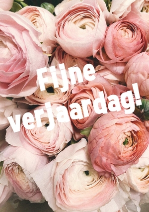 Fijne verjaardag Roze pioenrozen