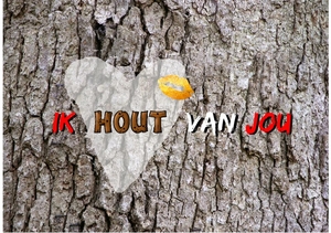 Liefdeskaart ik hout van jou