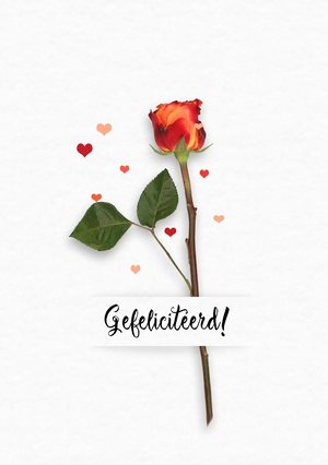 Felicitatiekaart bloem rood