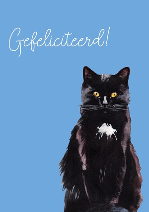 Verjaardagskaart zwarte poes