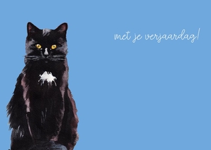 Verjaardagskaart zwarte poes