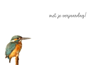 Verjaardagskaart ijsvogel