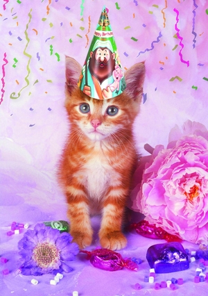 verjaardagskaart kind poes feest