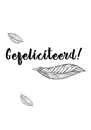 Verjaardagskaart gefeliciteerd veertjes