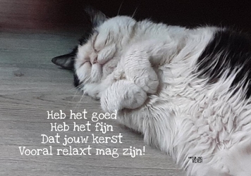 ! kerst kat