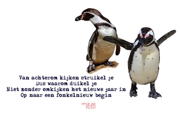 ! nieuwjaar pinguins