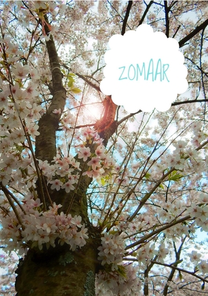 Zomaar bloesemboom