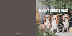 Gezellige dieren kerstkaart met eigen foto